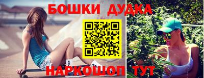 jwh Кингисепп