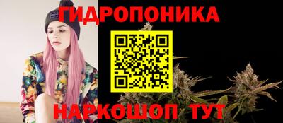 jwh Кингисепп