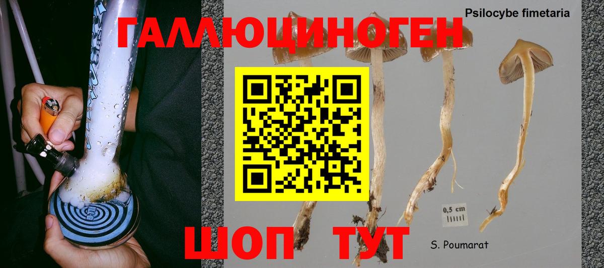 Котельники  Галлюциногенные грибы ЛСД  Псилоцибиновые грибы ЛСД  Вход с VPN 